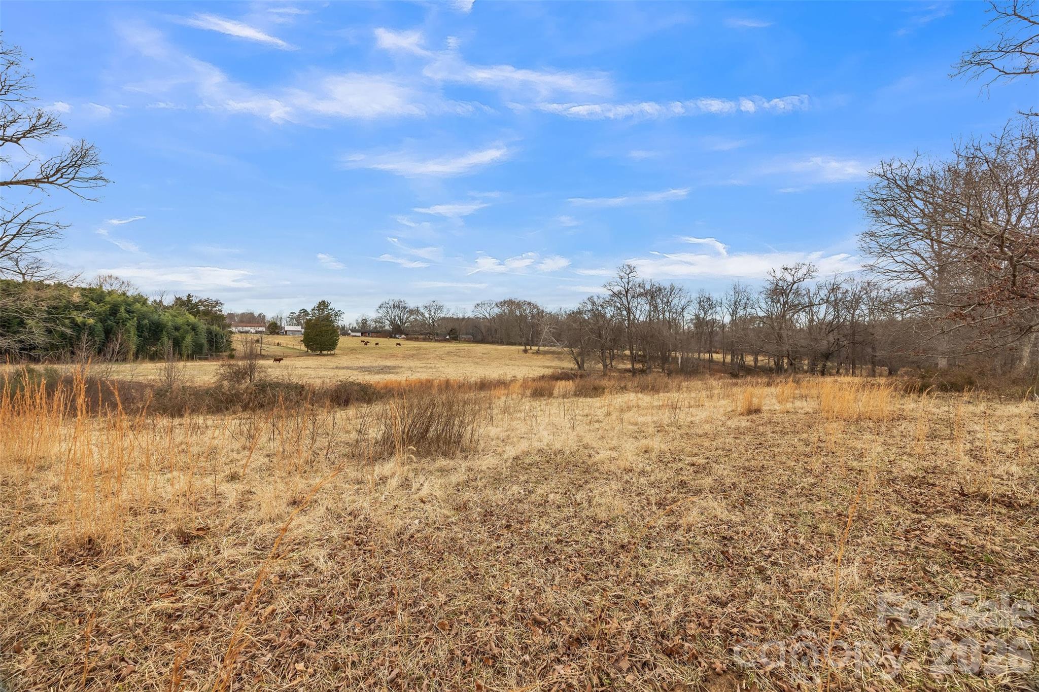 00 Davidson Court Taylorsville NC 28681