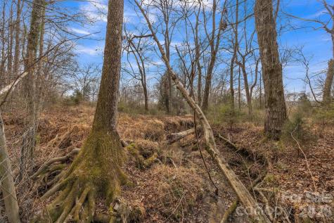 00 Davidson Court Taylorsville NC 28681