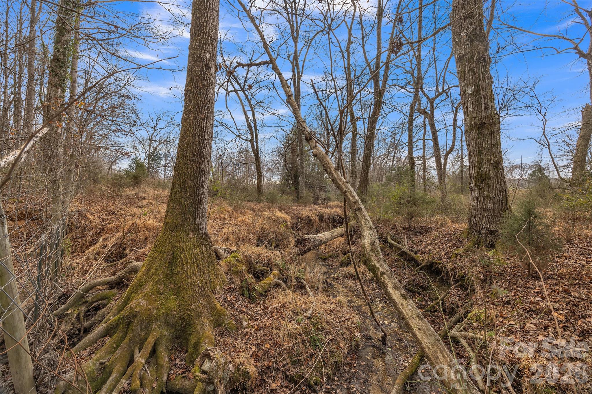 00 Davidson Court Taylorsville NC 28681