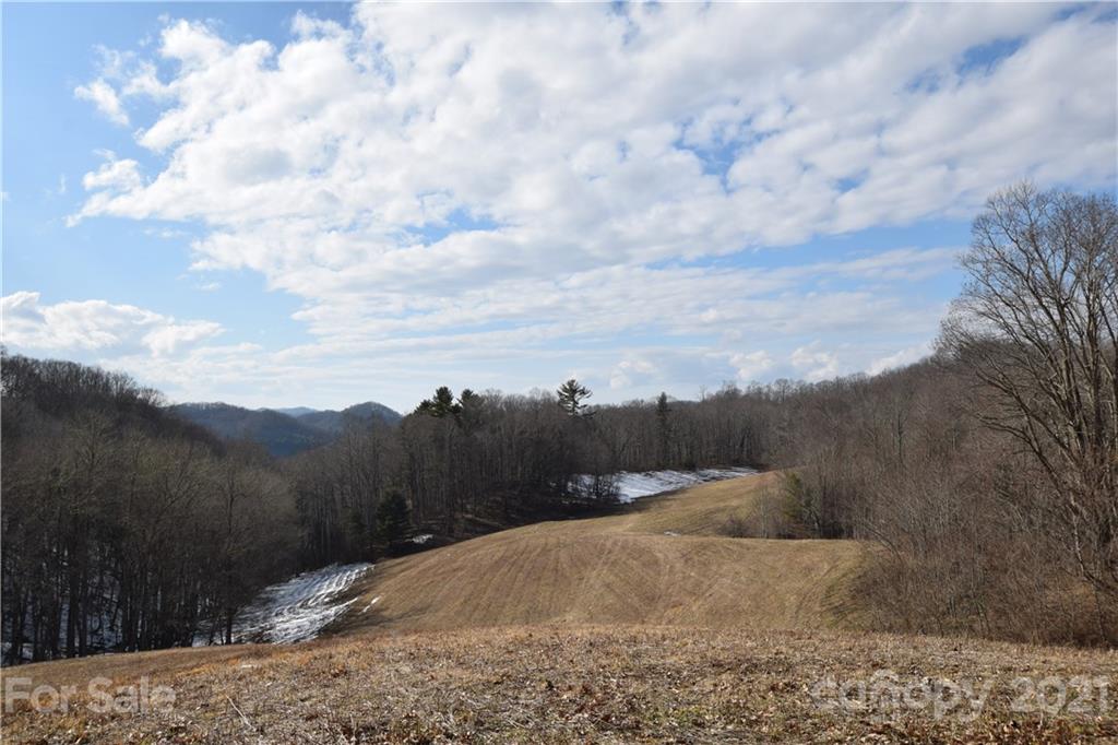 3058 Laurel Valley Road Mars Hill NC 28754
