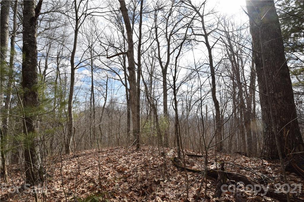 3058 Laurel Valley Road Mars Hill NC 28754