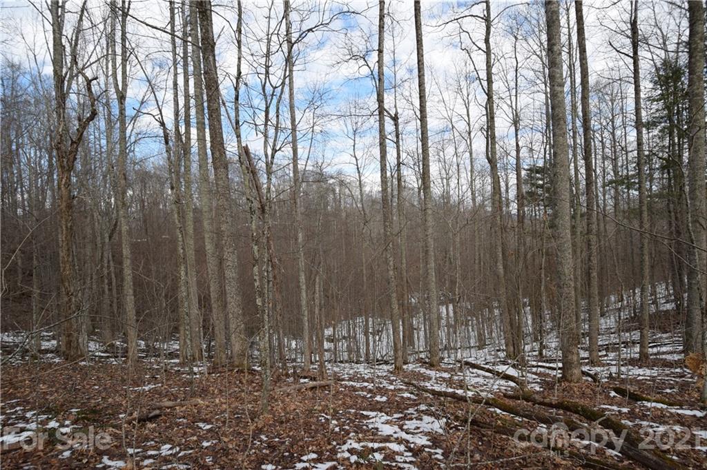 3058 Laurel Valley Road Mars Hill NC 28754