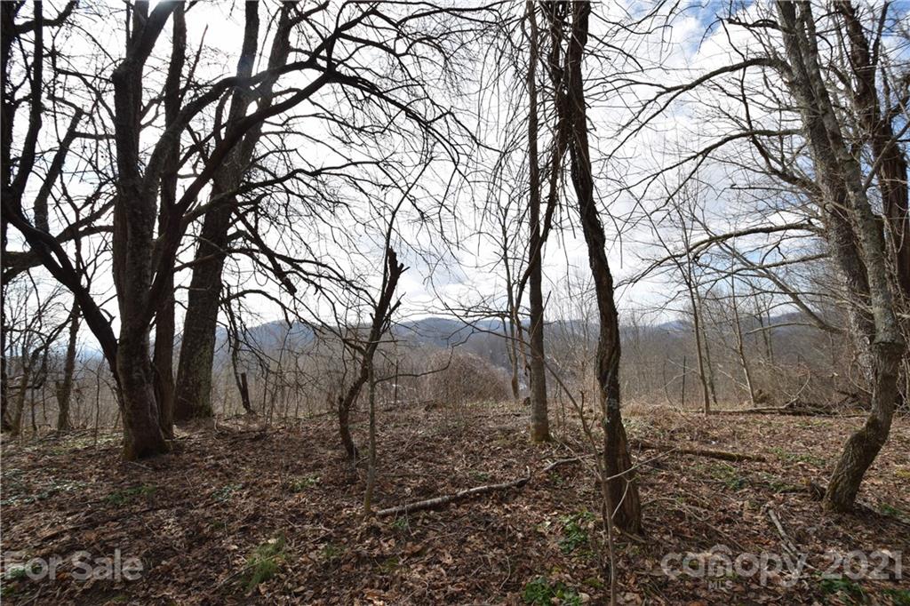 3058 Laurel Valley Road Mars Hill NC 28754