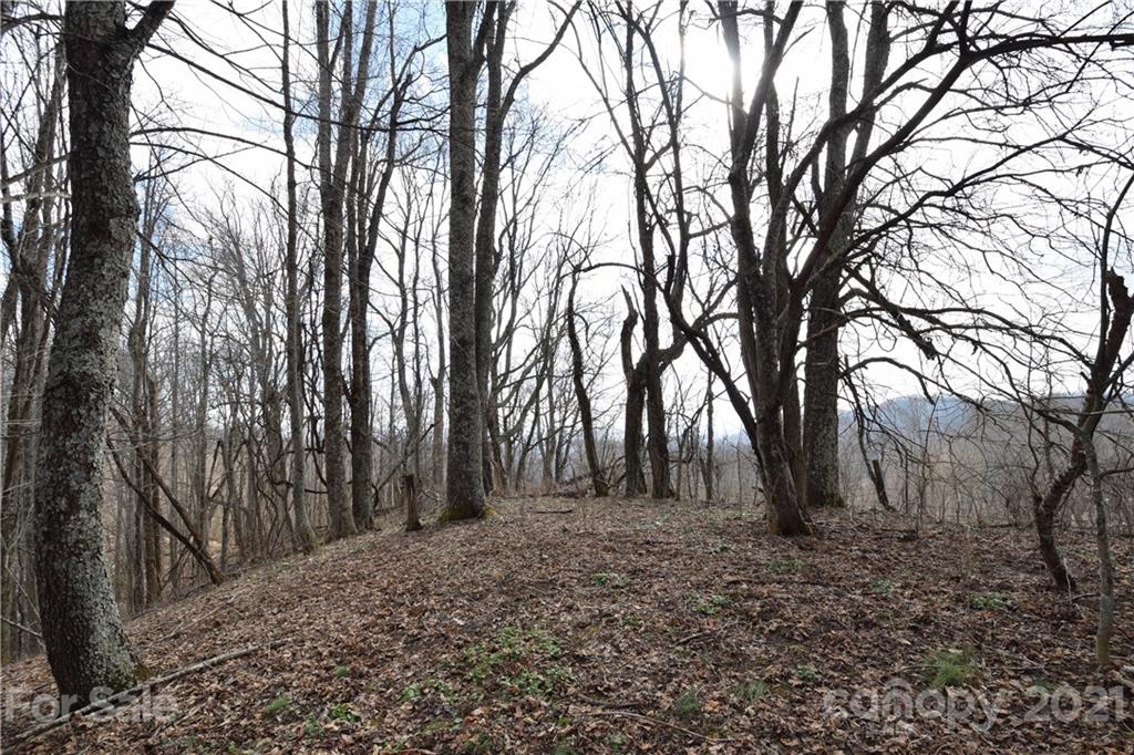 3058 Laurel Valley Road Mars Hill NC 28754