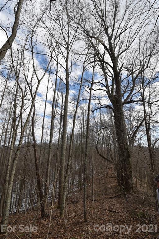3058 Laurel Valley Road Mars Hill NC 28754