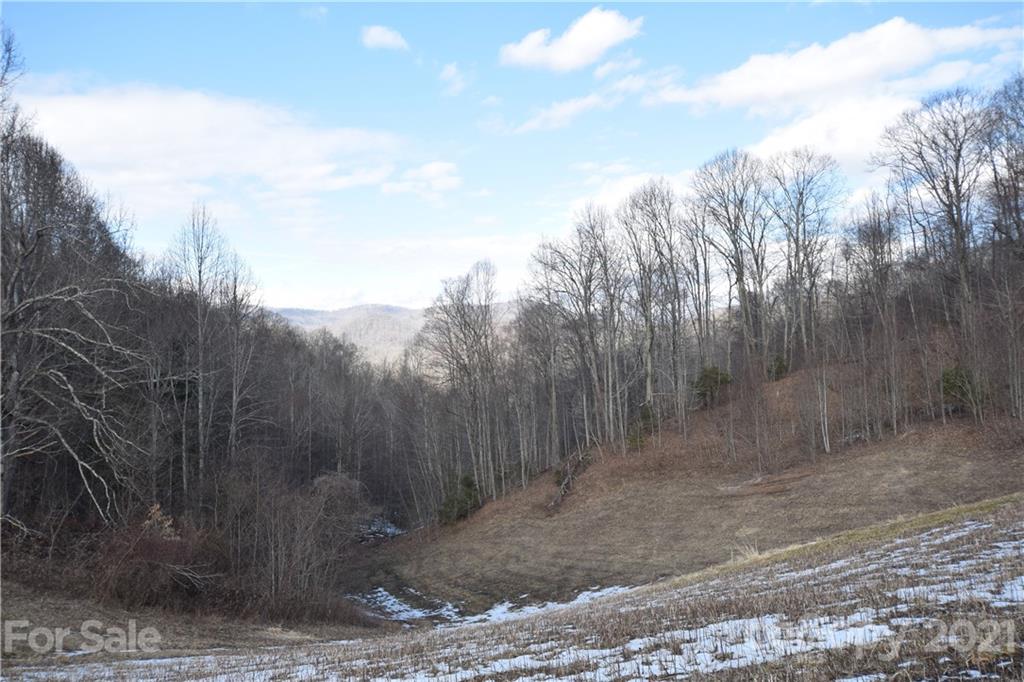 3058 Laurel Valley Road Mars Hill NC 28754