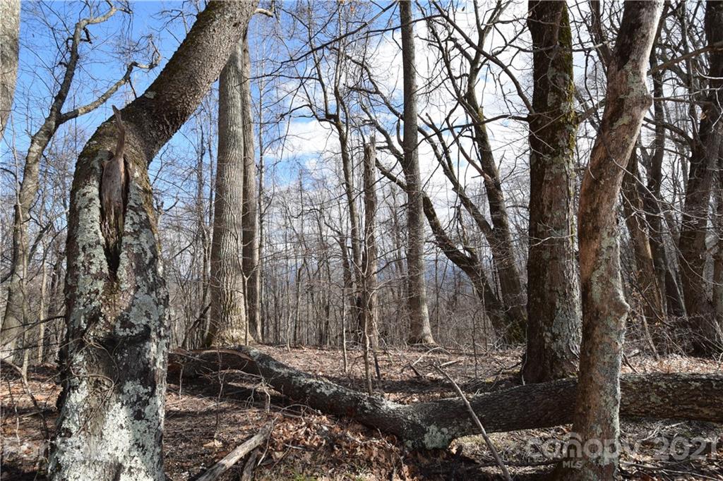 3058 Laurel Valley Road Mars Hill NC 28754
