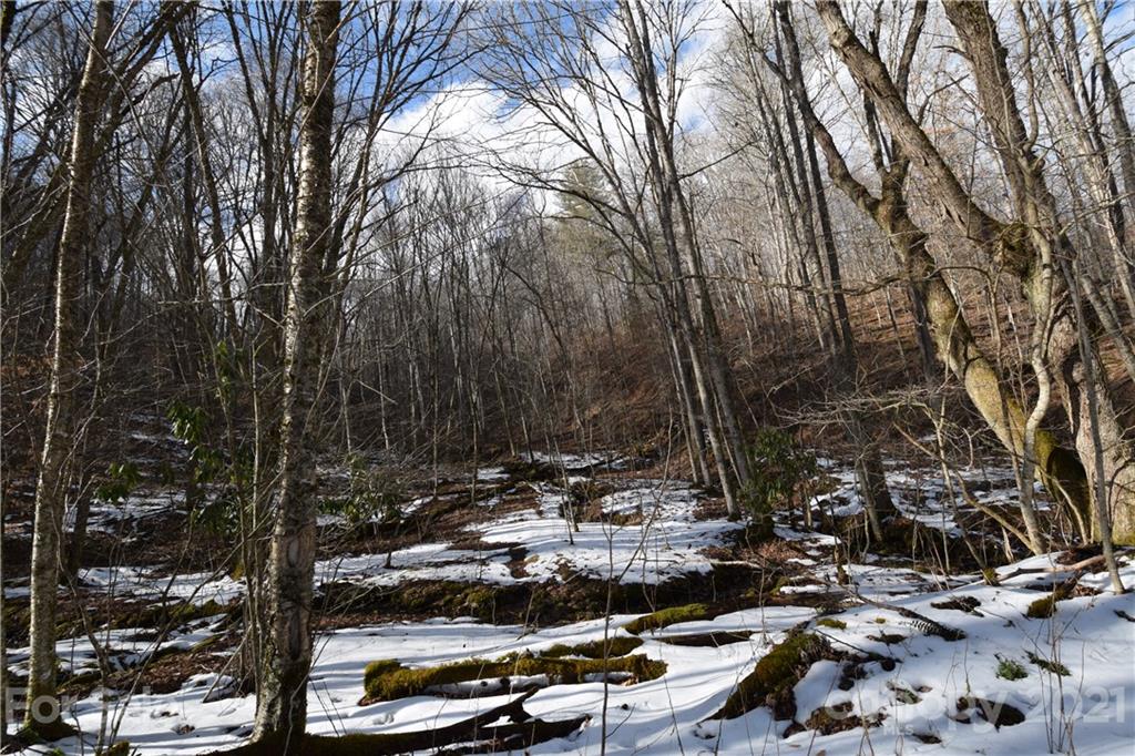 3058 Laurel Valley Road Mars Hill NC 28754