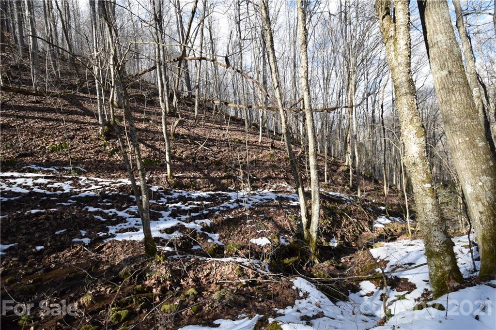 3058 Laurel Valley Road Mars Hill NC 28754