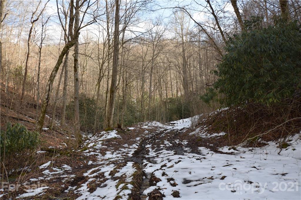 3058 Laurel Valley Road Mars Hill NC 28754