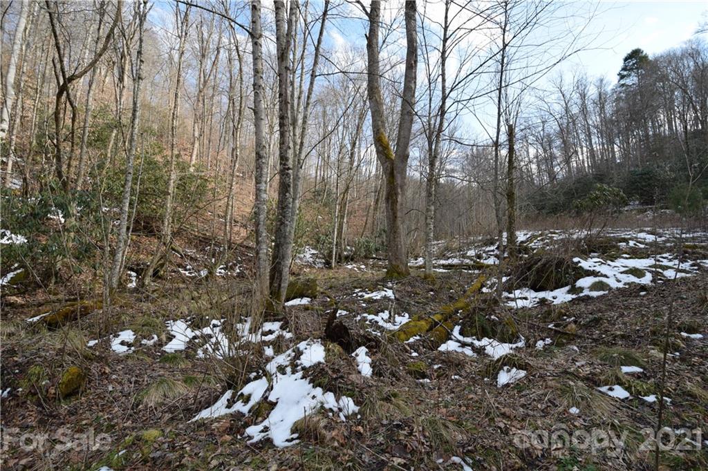3058 Laurel Valley Road Mars Hill NC 28754