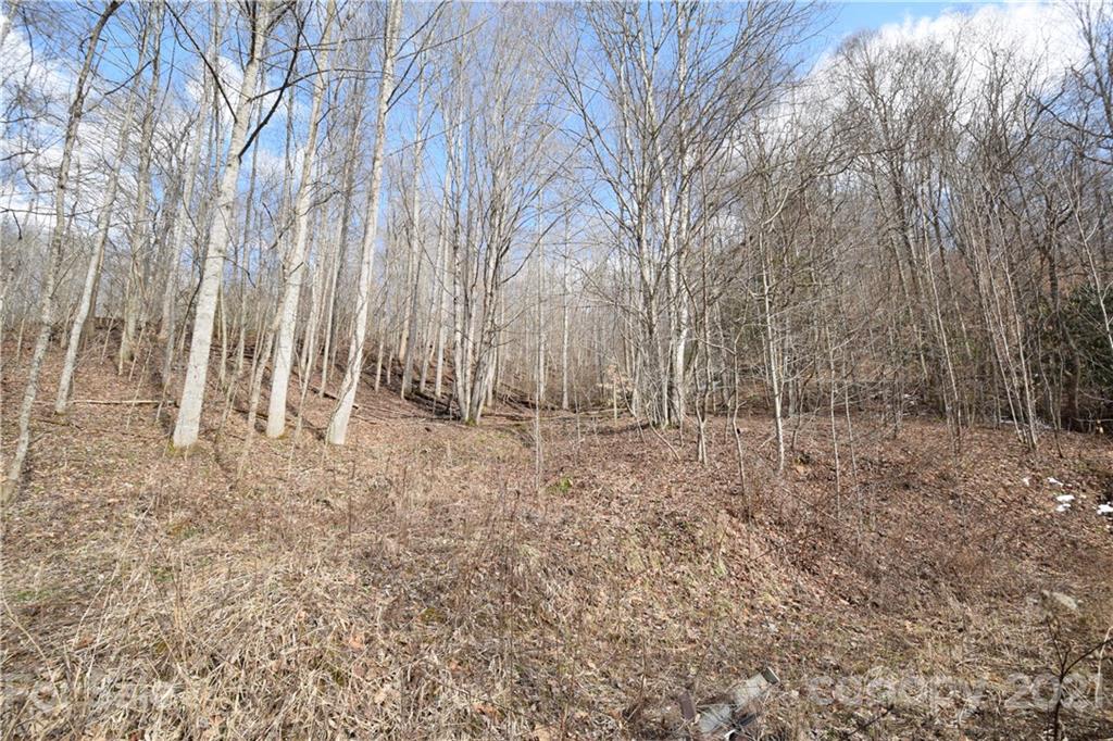 3058 Laurel Valley Road Mars Hill NC 28754