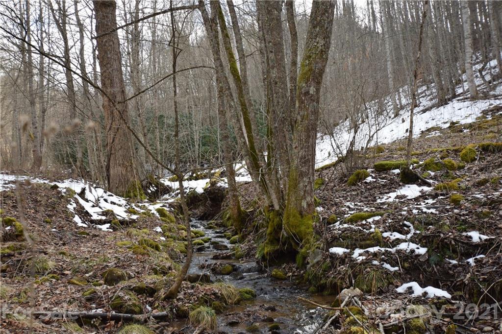 3058 Laurel Valley Road Mars Hill NC 28754
