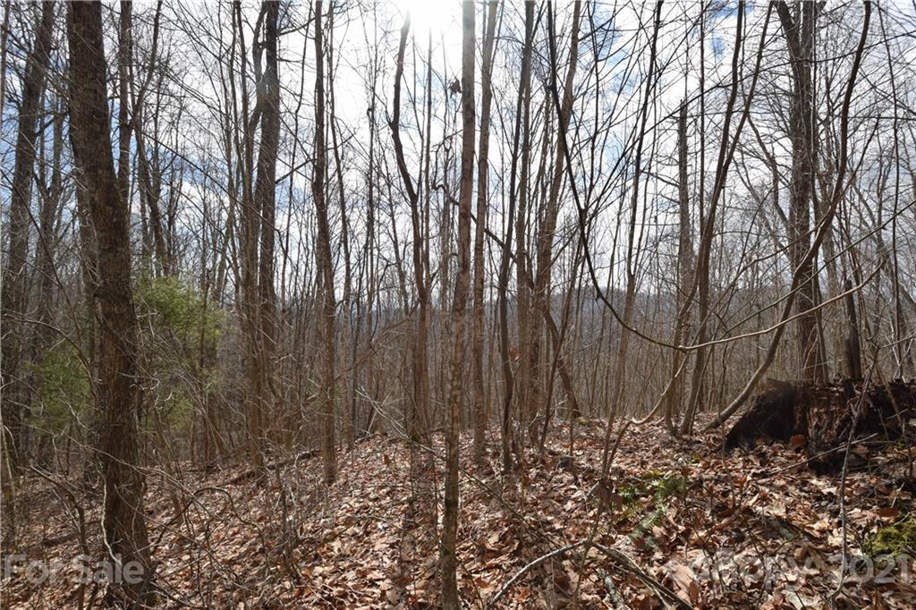 3058 Laurel Valley Road Mars Hill NC 28754