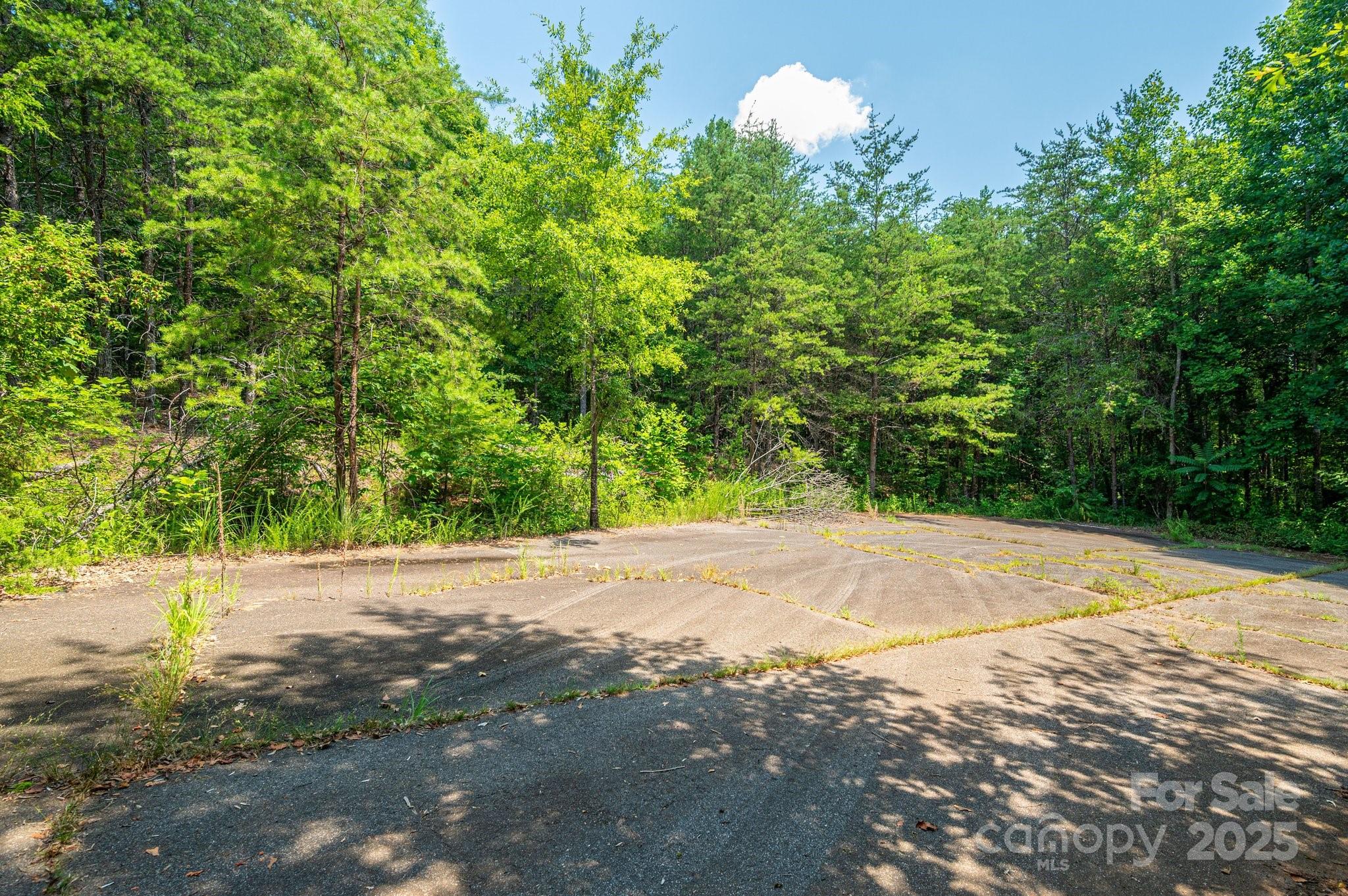 0 Meadow Crossing Drive Rutherfordton NC 28139
