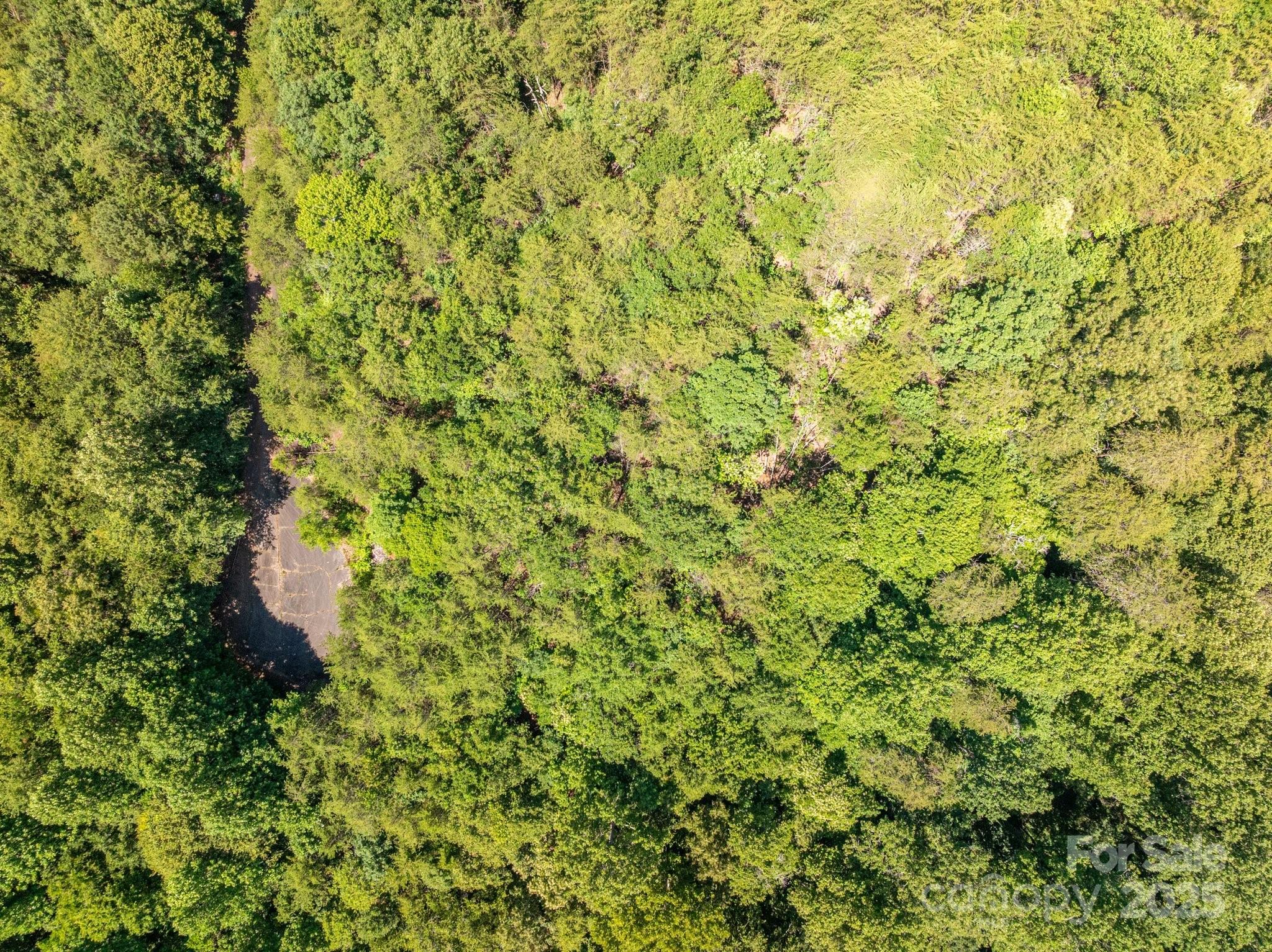 0 Meadow Crossing Drive Rutherfordton NC 28139