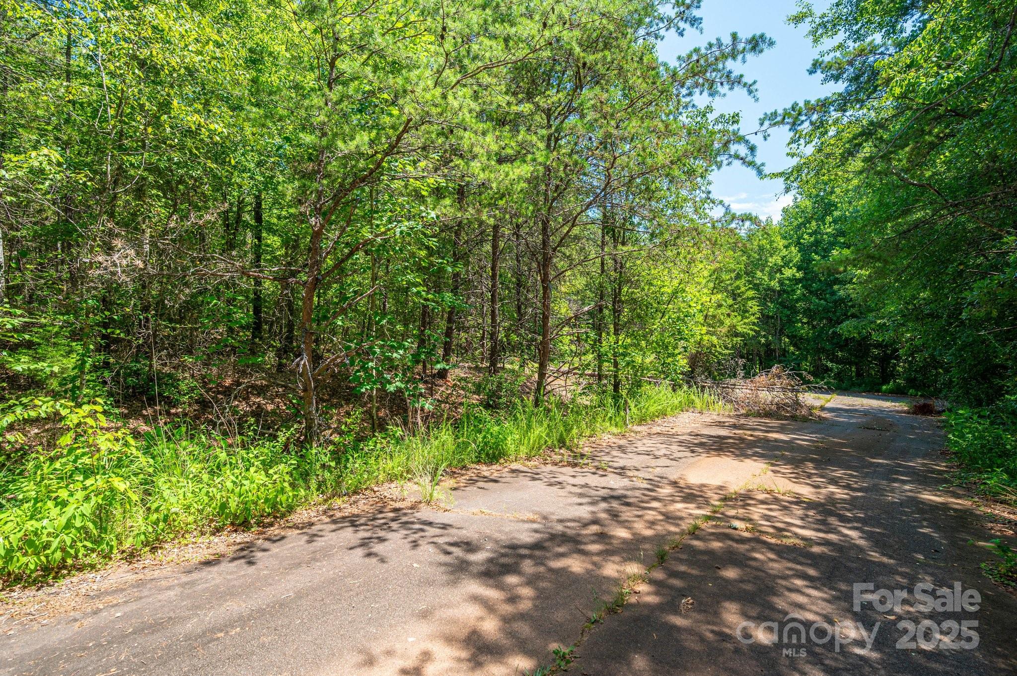0 Meadow Crossing Drive Rutherfordton NC 28139