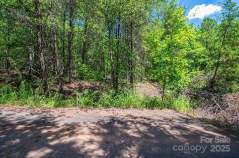 0 Meadow Crossing Drive Rutherfordton NC 28139