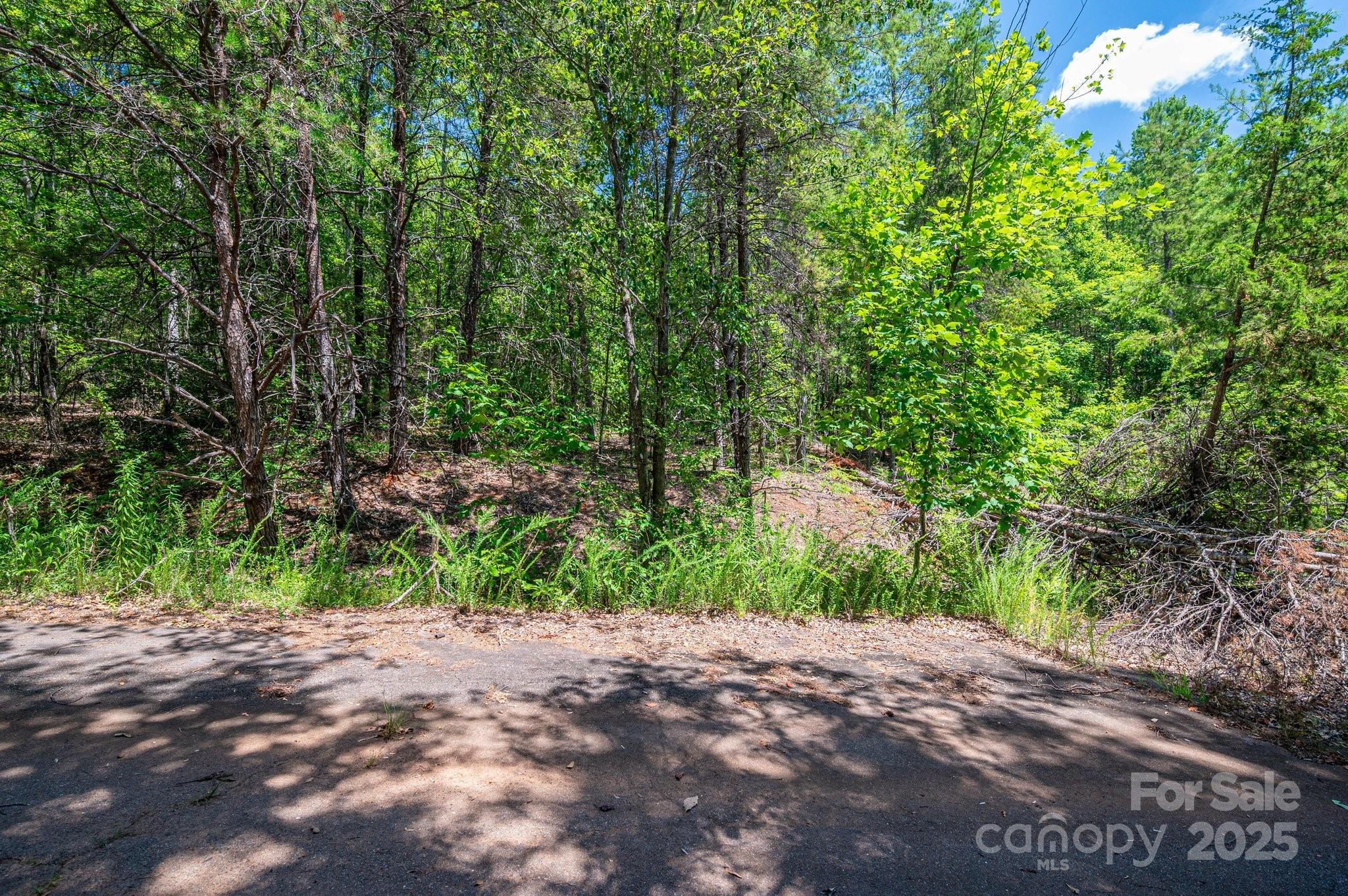 0 Meadow Crossing Drive Rutherfordton NC 28139
