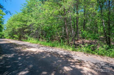 0 Meadow Crossing Drive Rutherfordton NC 28139