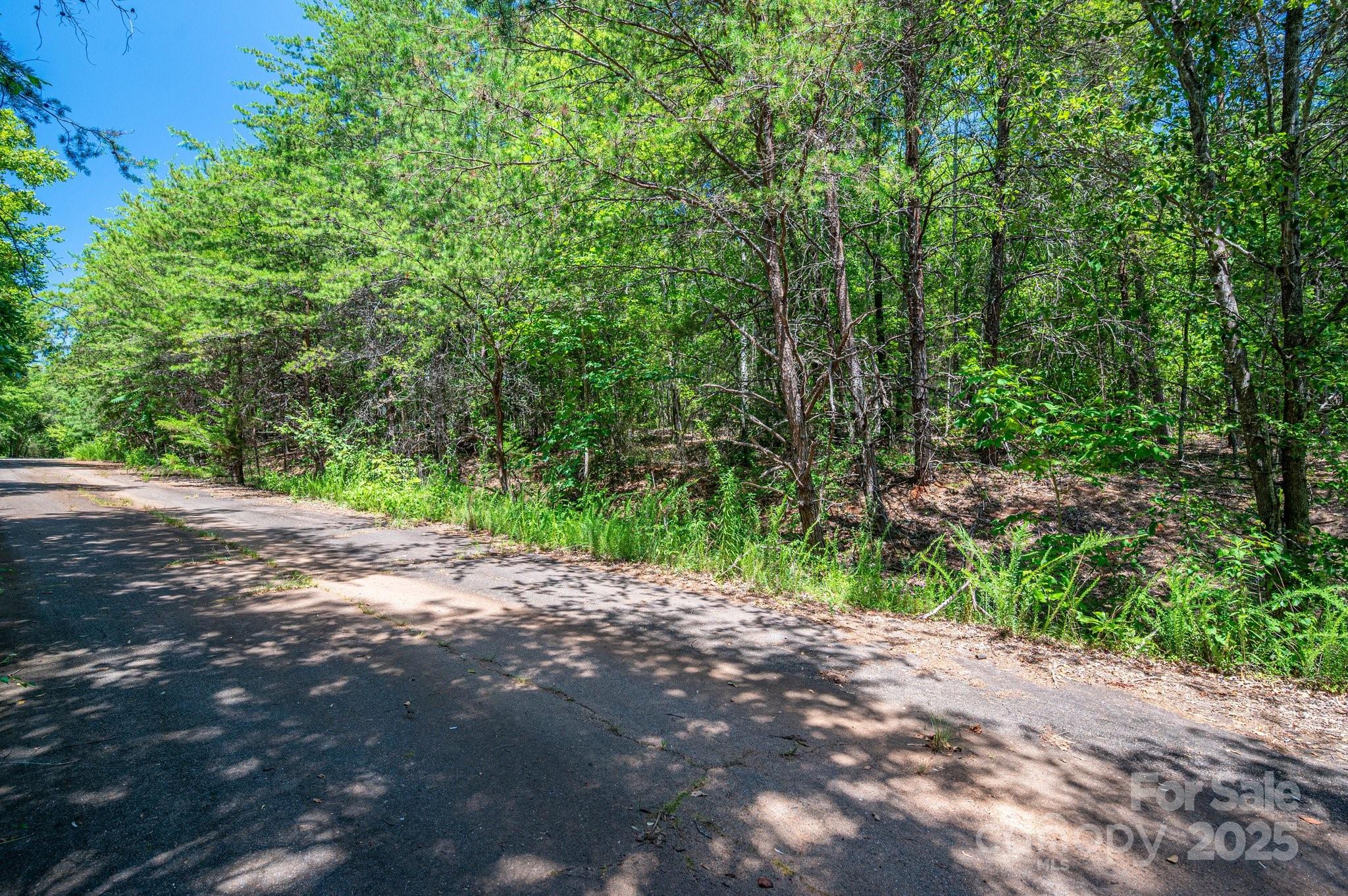 0 Meadow Crossing Drive Rutherfordton NC 28139