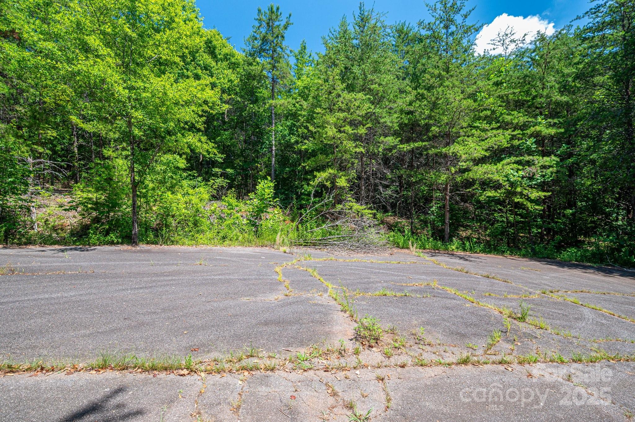 0 Meadow Crossing Drive Rutherfordton NC 28139