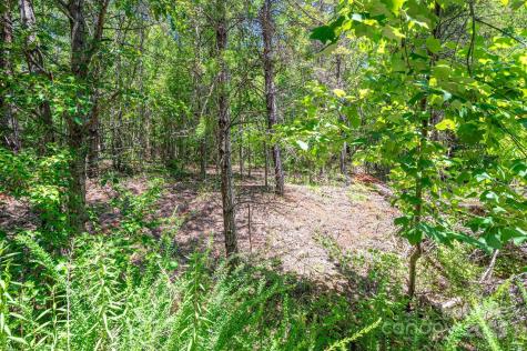 0 Meadow Crossing Drive Rutherfordton NC 28139
