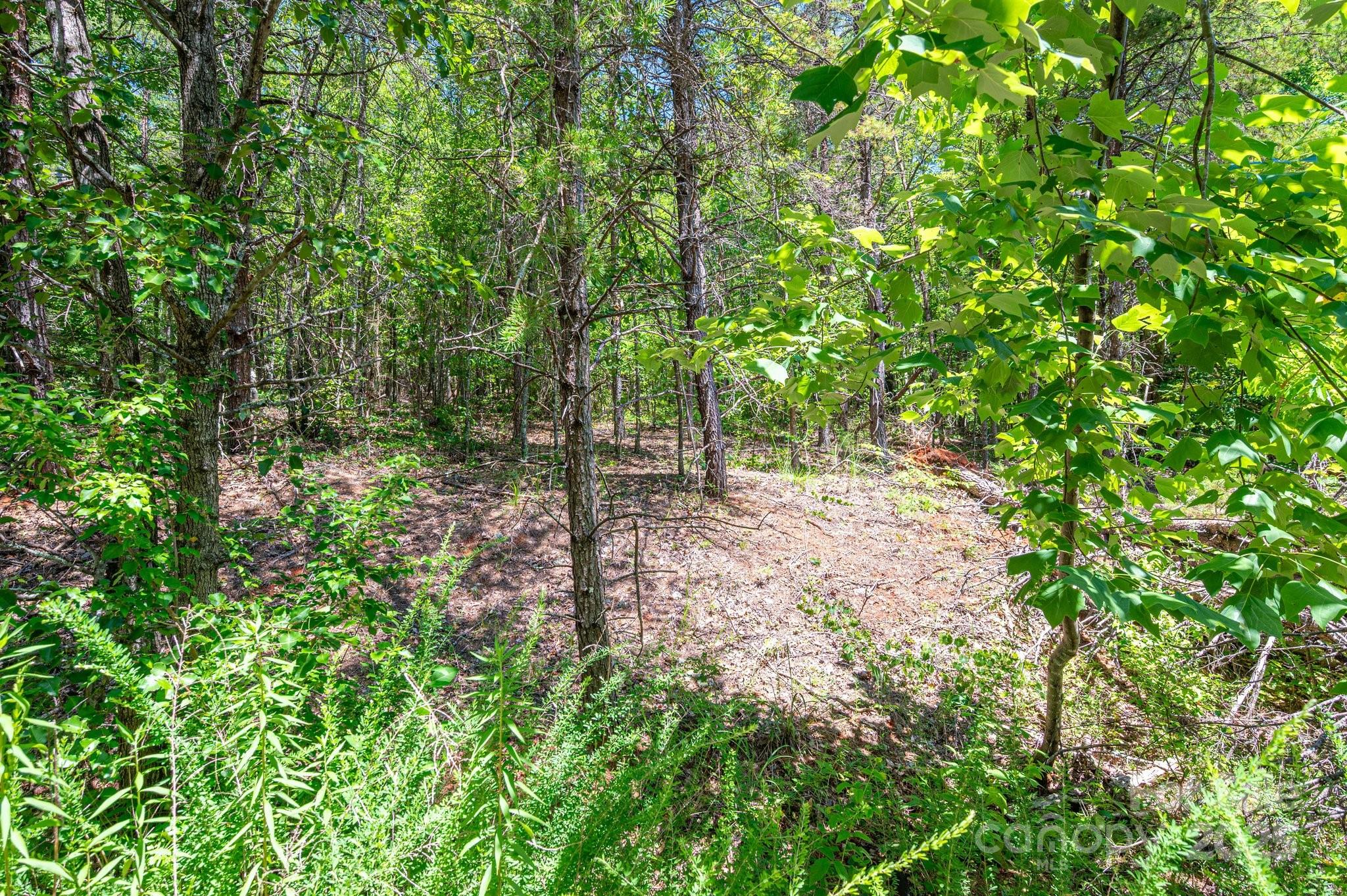 0 Meadow Crossing Drive Rutherfordton NC 28139