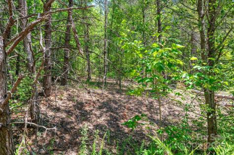 0 Meadow Crossing Drive Rutherfordton NC 28139