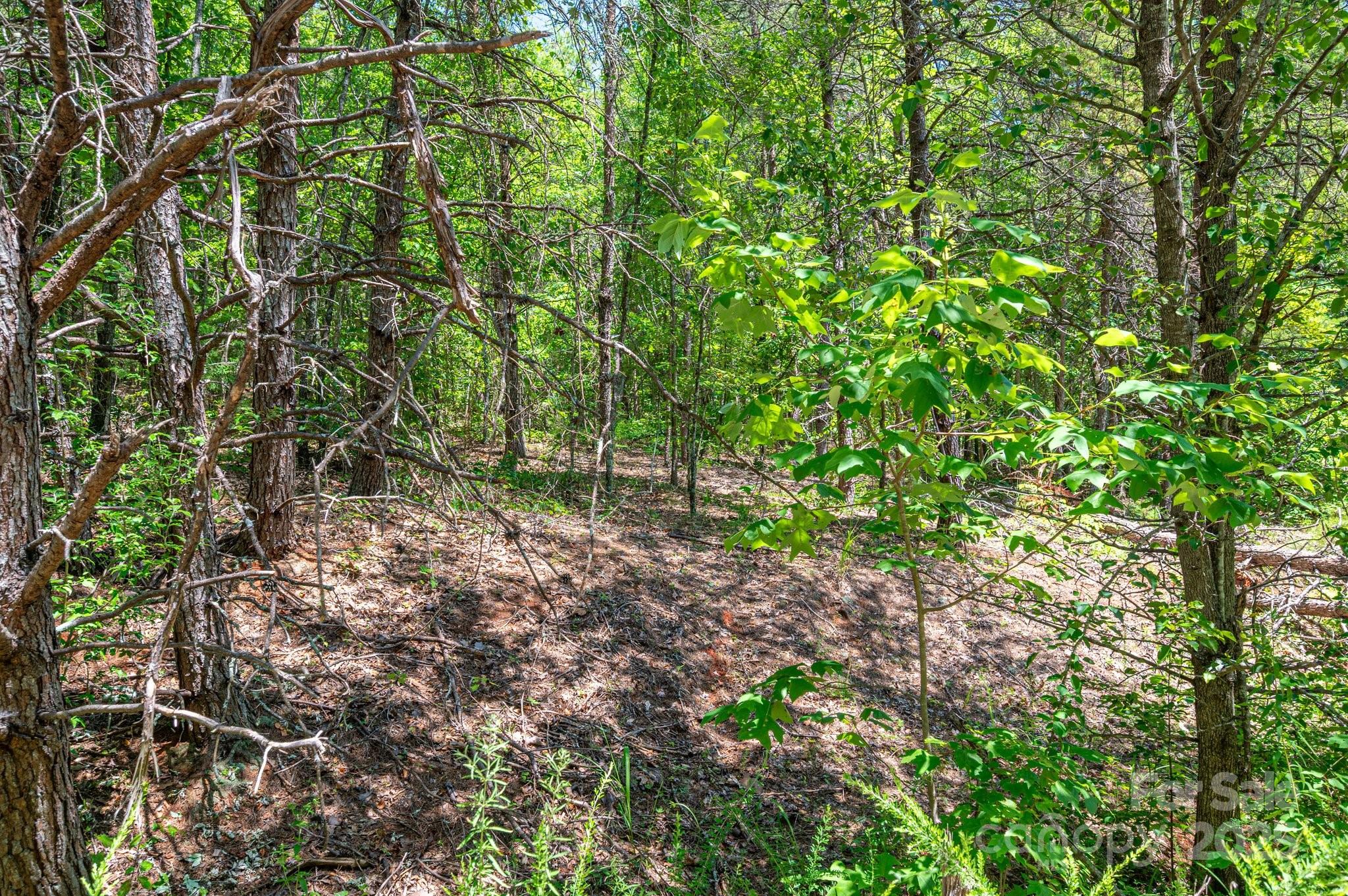 0 Meadow Crossing Drive Rutherfordton NC 28139