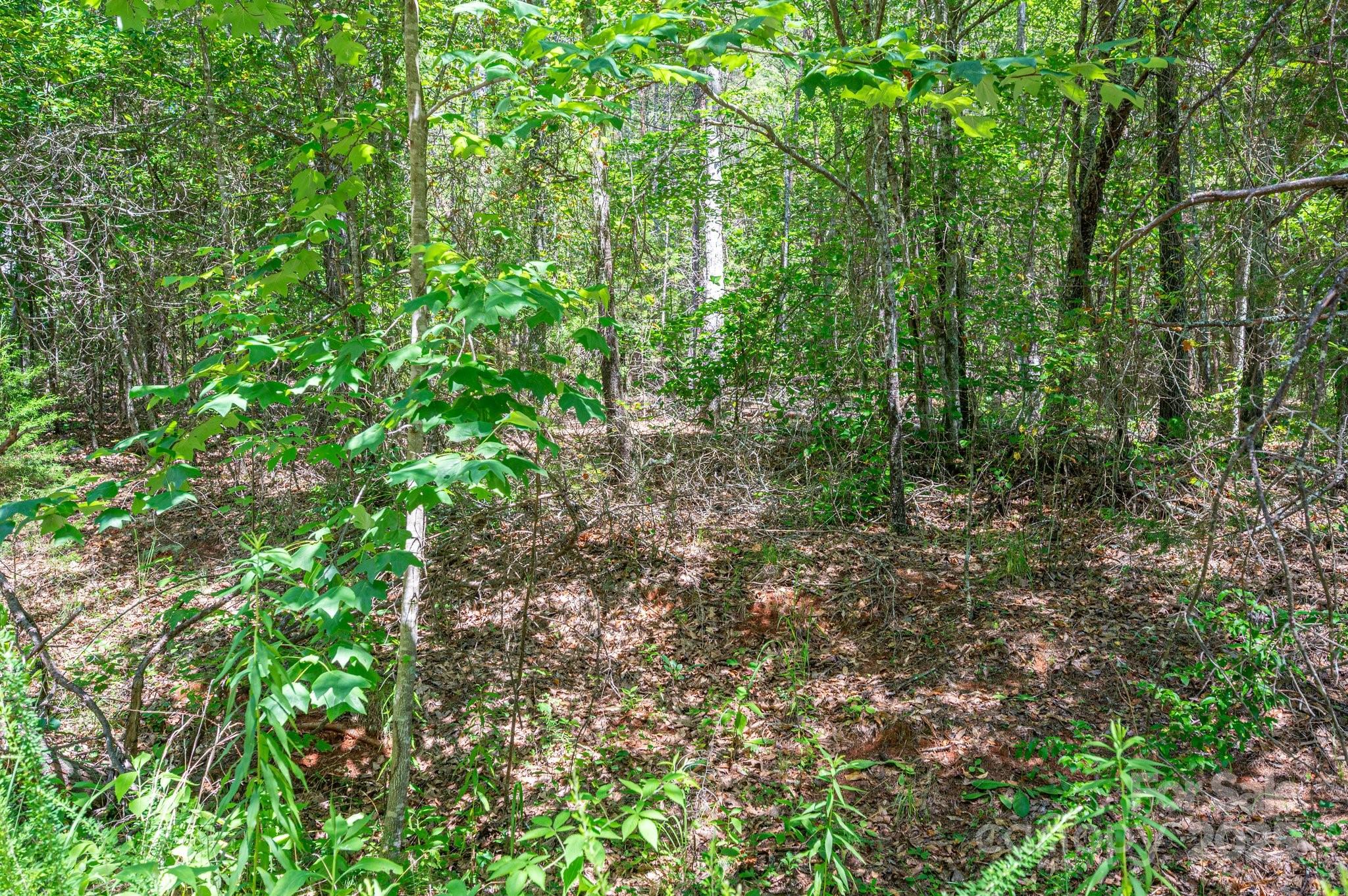 0 Meadow Crossing Drive Rutherfordton NC 28139