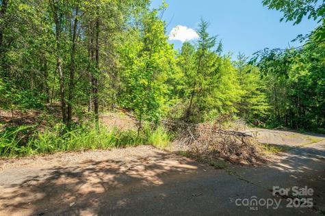 0 Meadow Crossing Drive Rutherfordton NC 28139