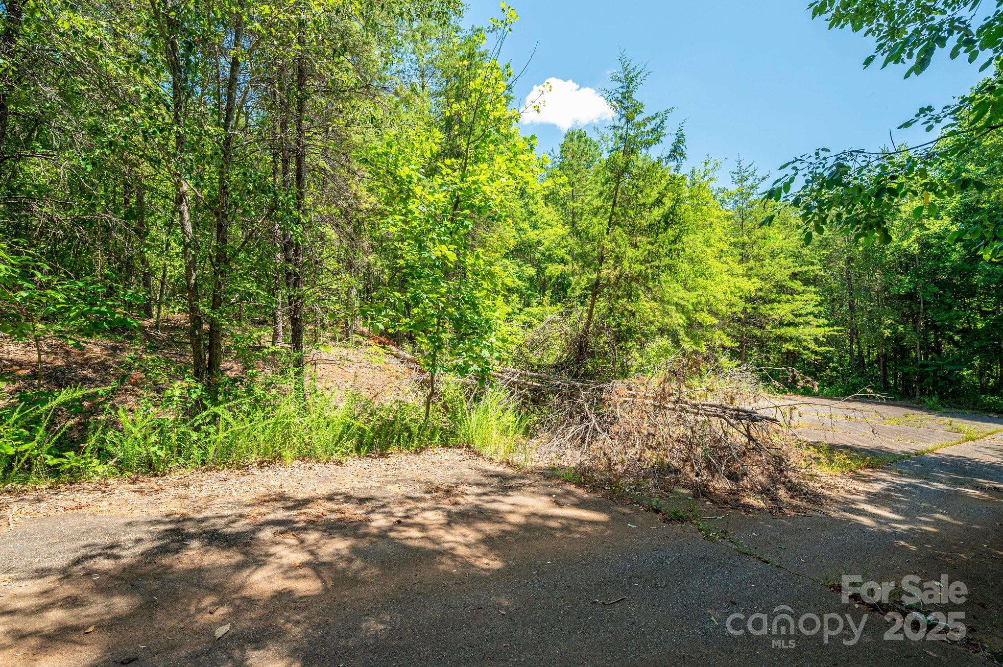 0 Meadow Crossing Drive Rutherfordton NC 28139