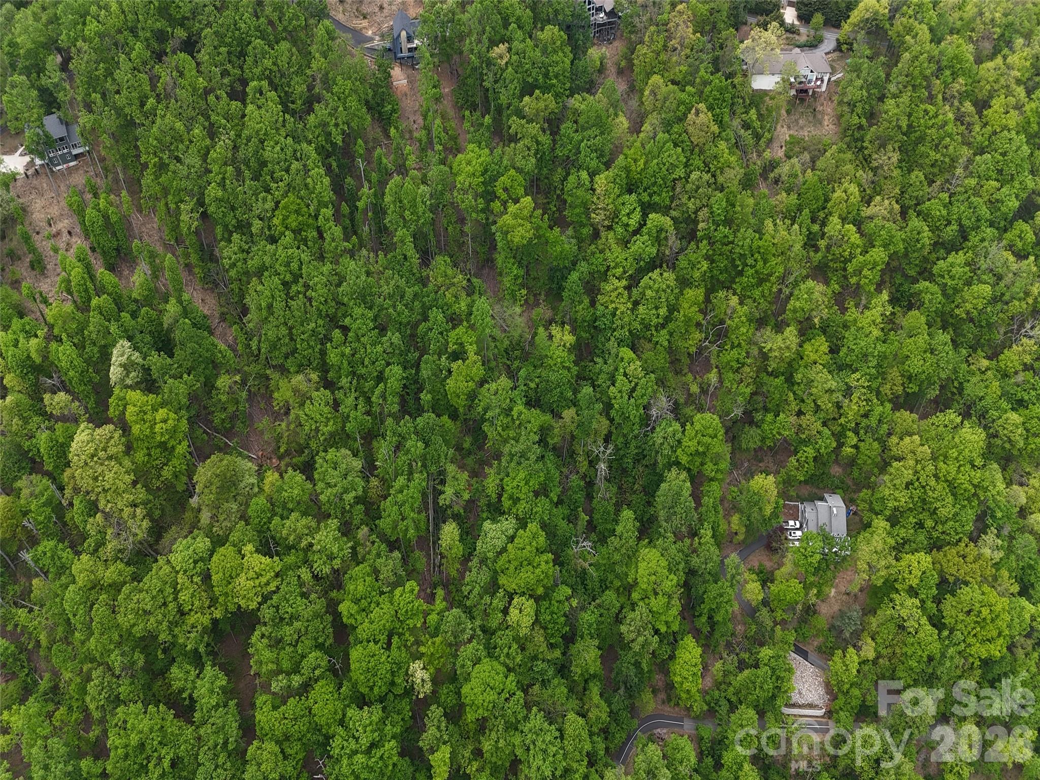 Lot #39 Poplar Drive Mills River NC 28759