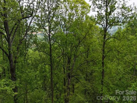 Lot #39 Poplar Drive Mills River NC 28759