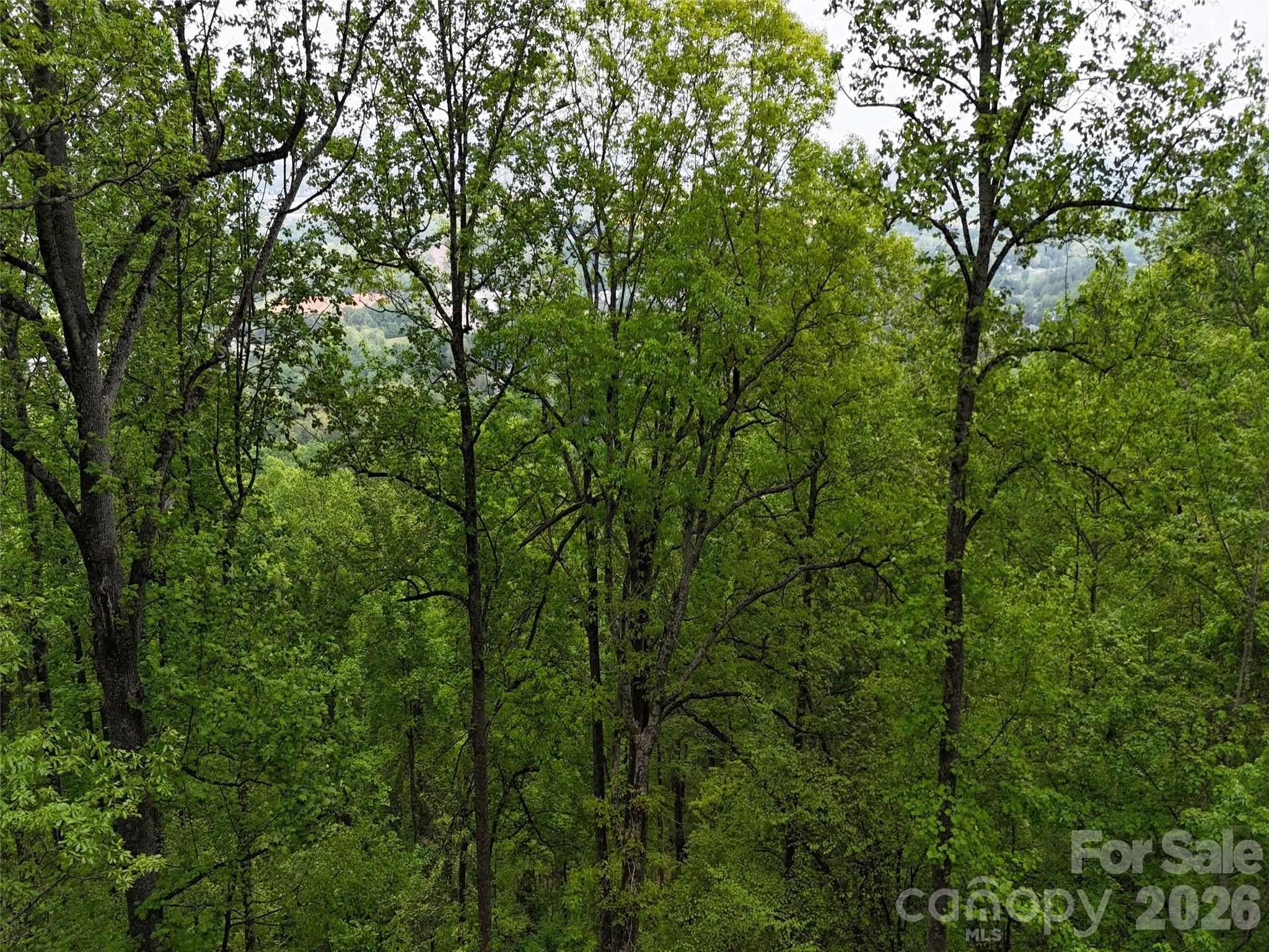 Lot #39 Poplar Drive Mills River NC 28759