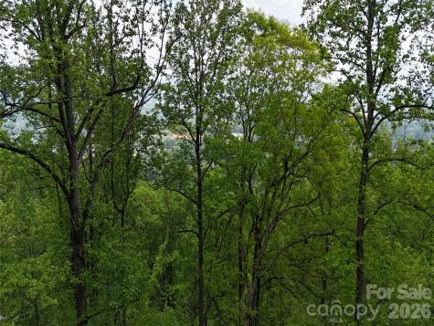 Lot #39 Poplar Drive Mills River NC 28759