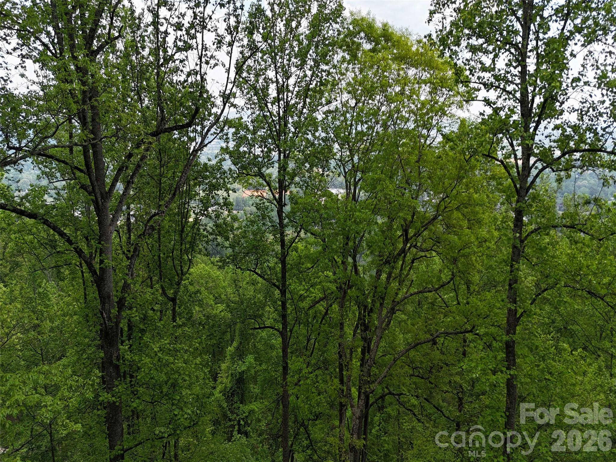 Lot #39 Poplar Drive Mills River NC 28759