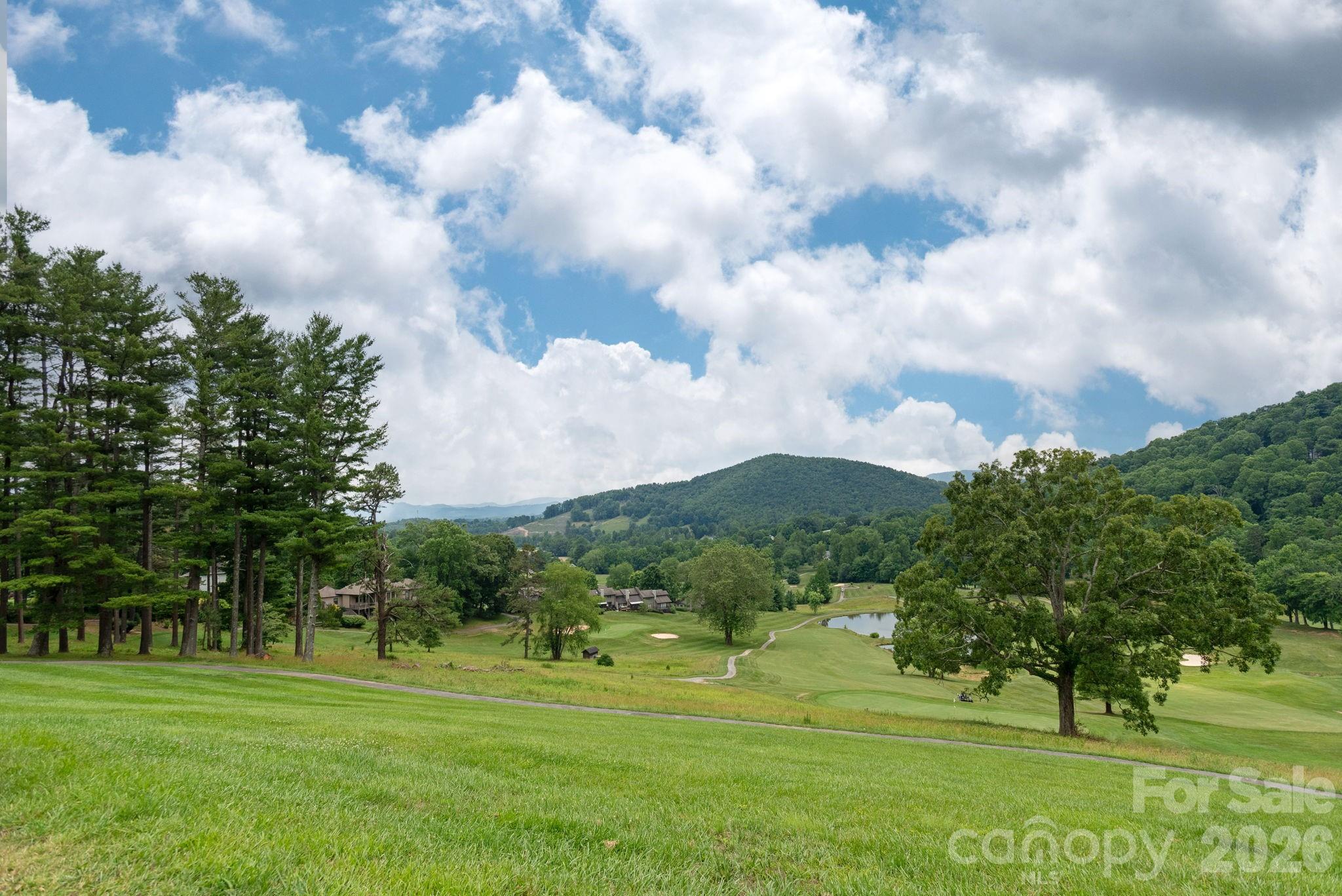 Lot #39 Poplar Drive Mills River NC 28759