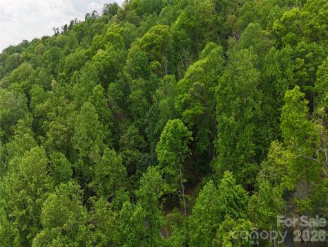 Lot #39 Poplar Drive Mills River NC 28759