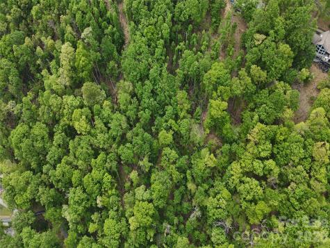Lot #39 Poplar Drive Mills River NC 28759