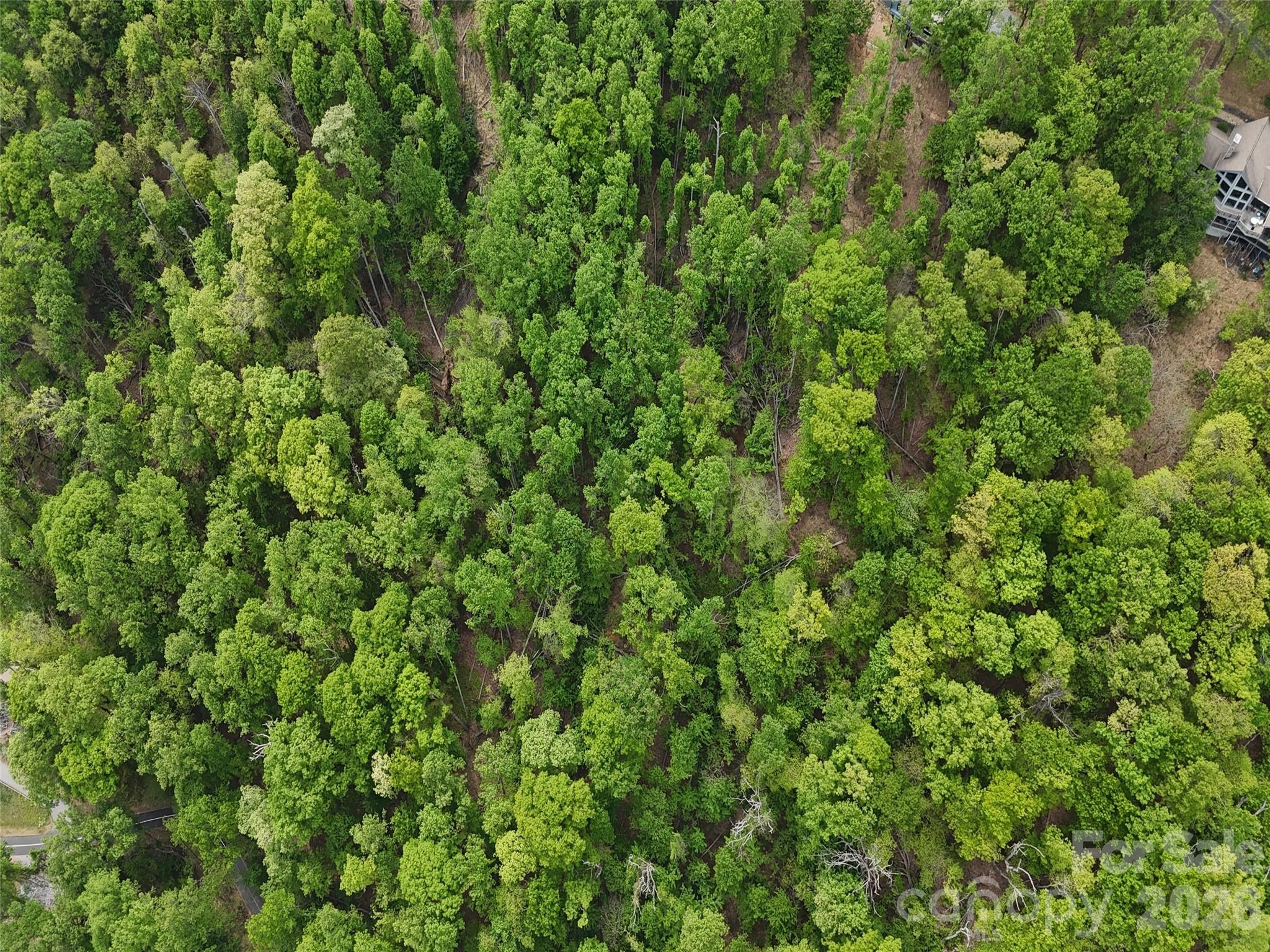 Lot #39 Poplar Drive Mills River NC 28759