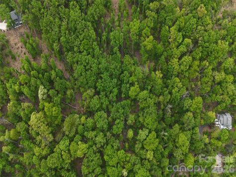 Lot #39 Poplar Drive Mills River NC 28759