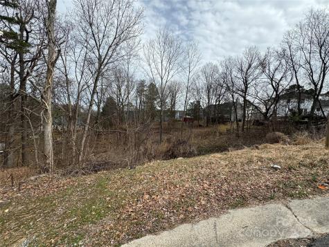 2814 Bustlehead Court Charlotte NC 28262