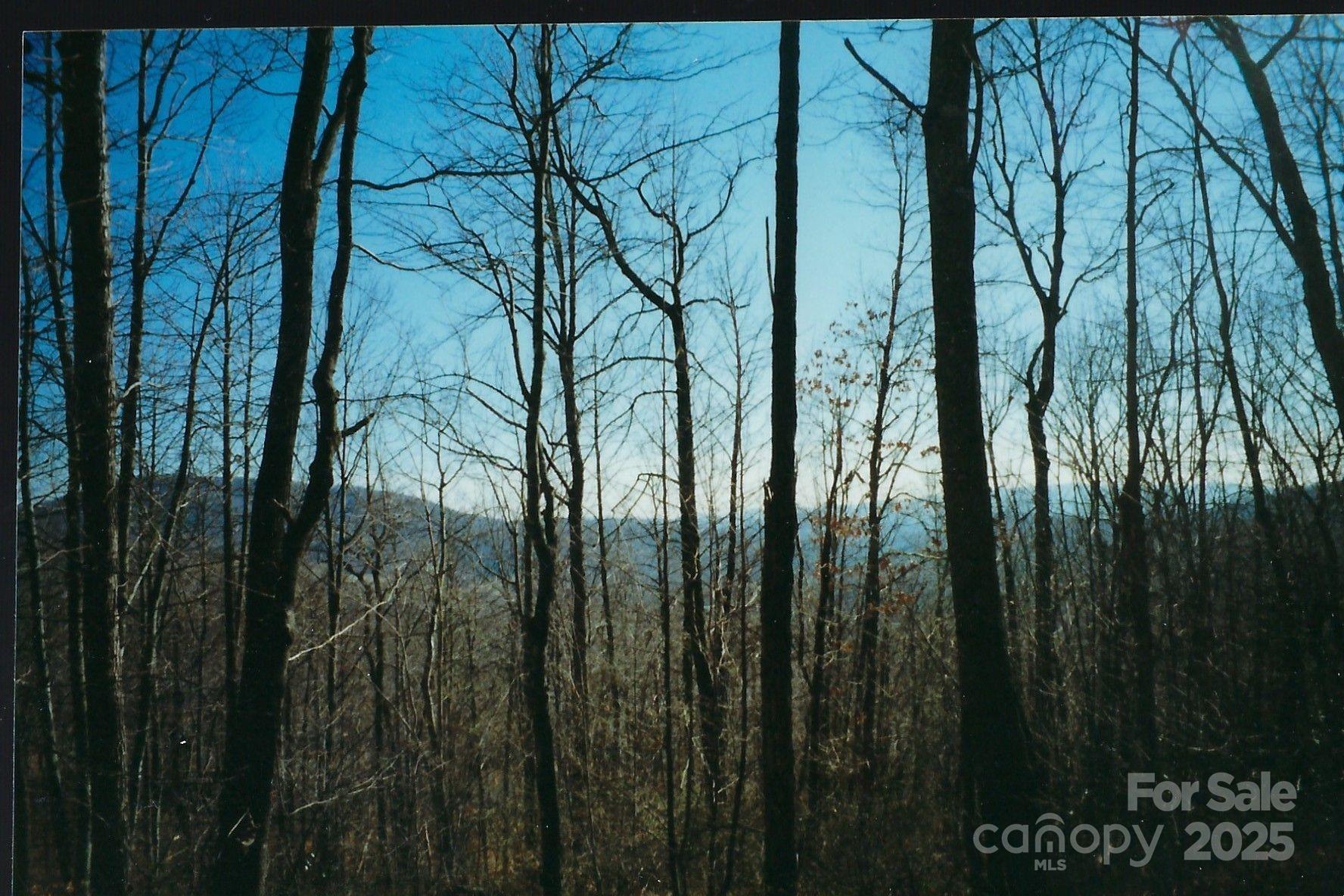 Lot #35 Damselfly Court Spruce Pine NC 28777