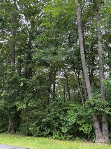 Lot #35 Damselfly Court Spruce Pine NC 28777