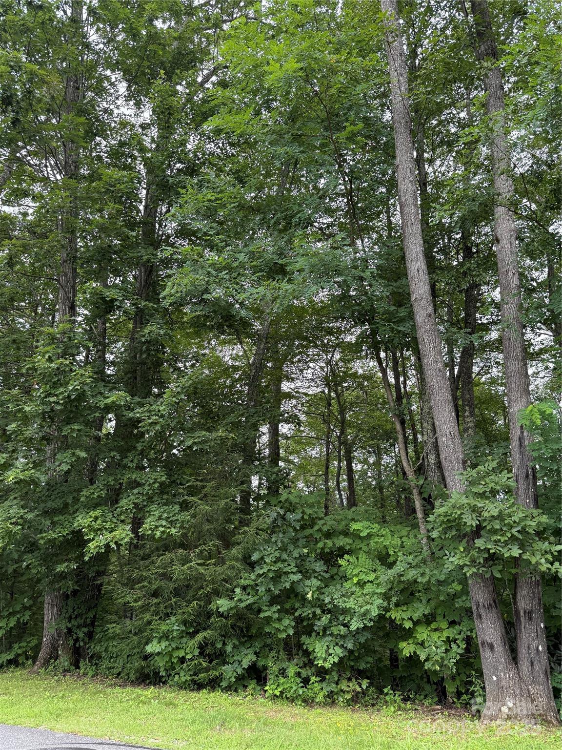 Lot #35 Damselfly Court Spruce Pine NC 28777