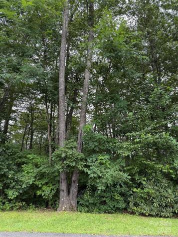 Lot #35 Damselfly Court Spruce Pine NC 28777