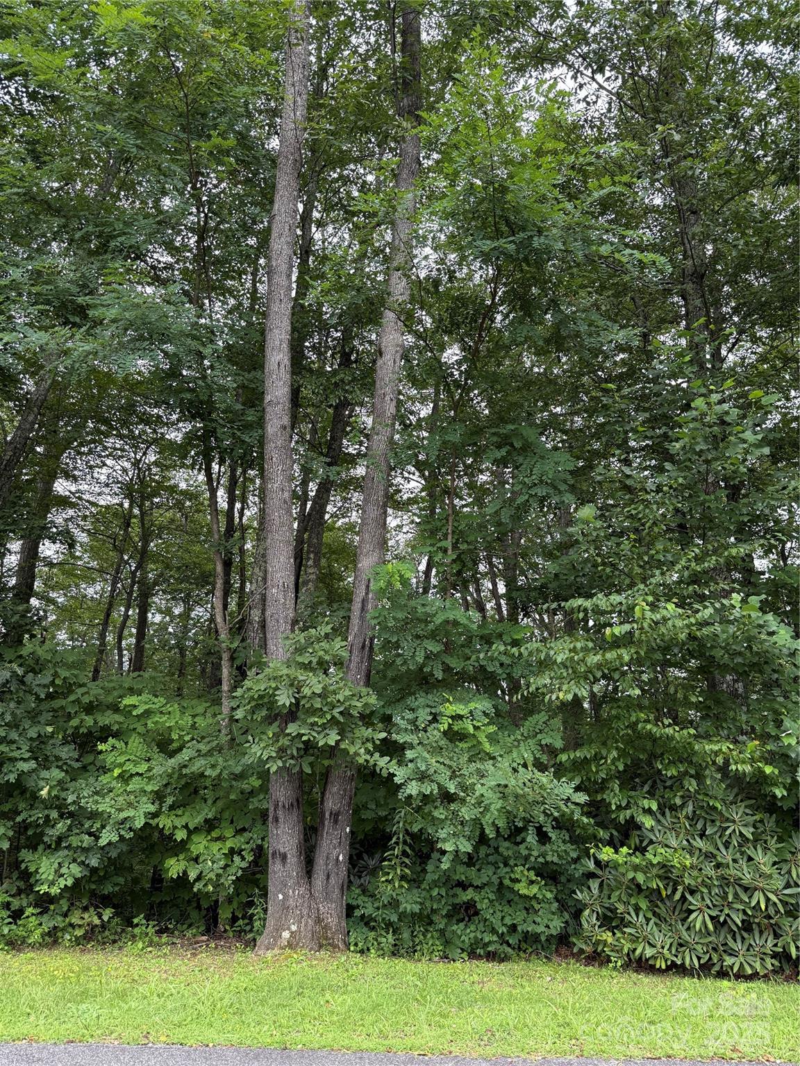 Lot #35 Damselfly Court Spruce Pine NC 28777