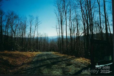 Lot #35 Damselfly Court Spruce Pine NC 28777